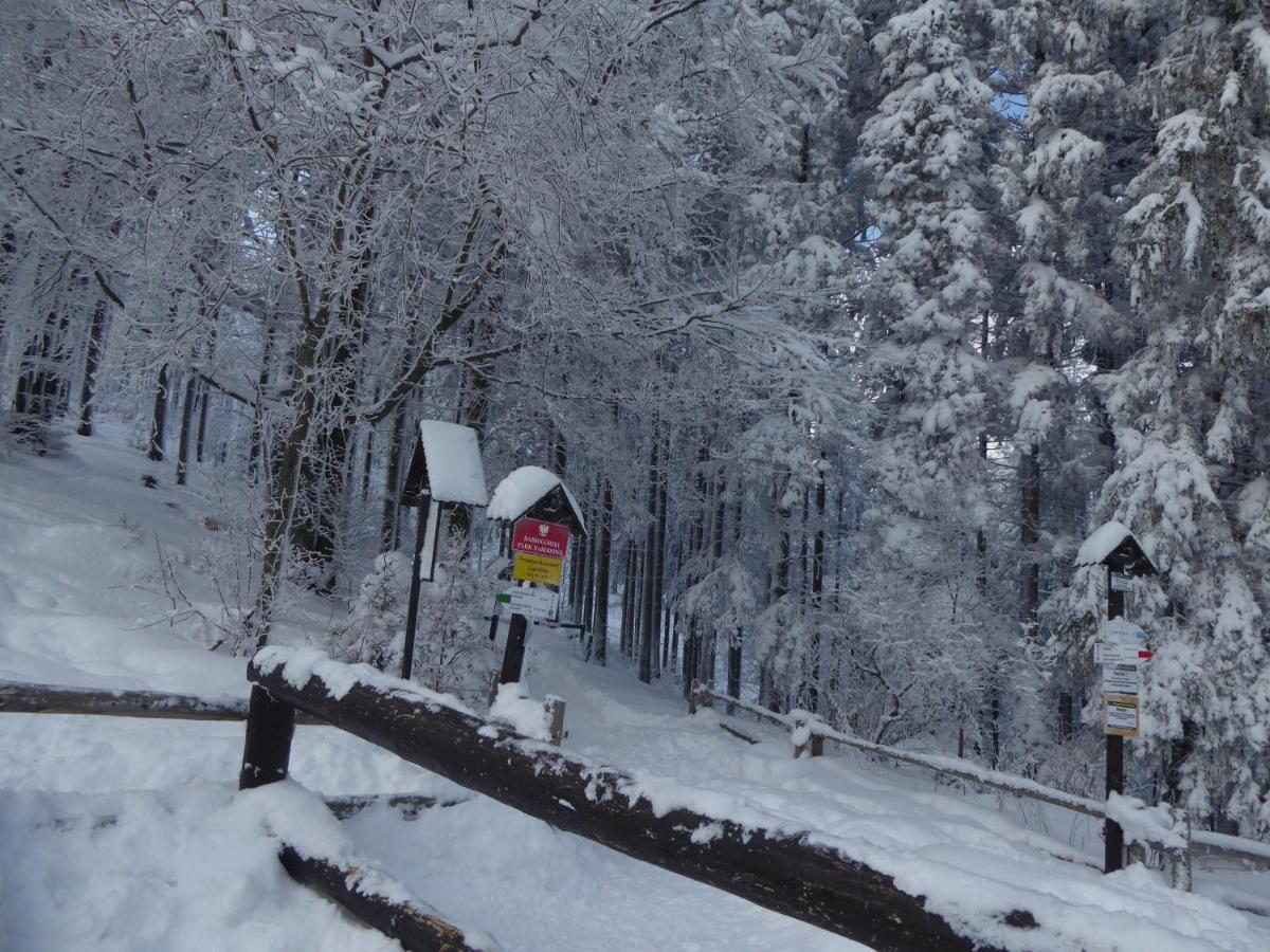 Pokoje Goscinne - Za Borem Zubrzyca Gorna Exterior foto