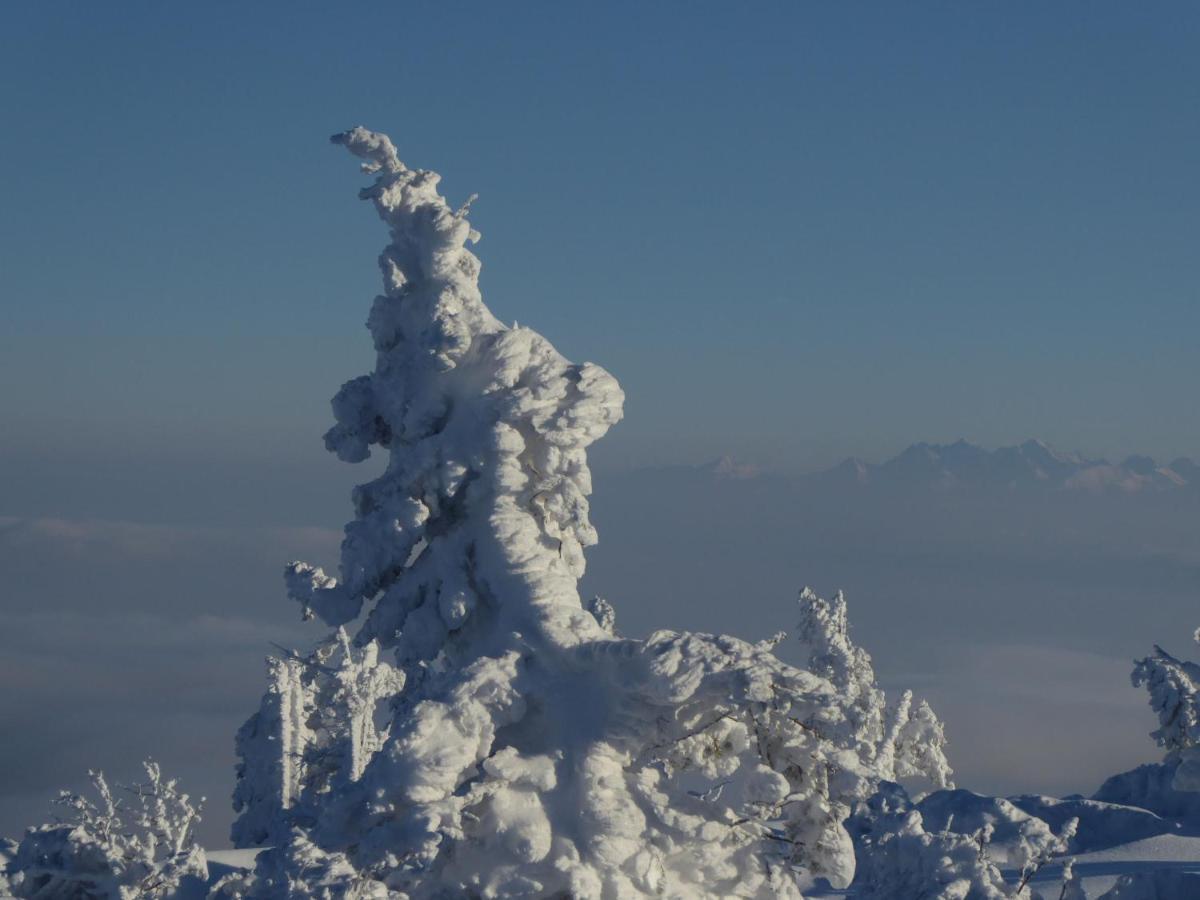 Pokoje Goscinne - Za Borem Zubrzyca Gorna Exterior foto