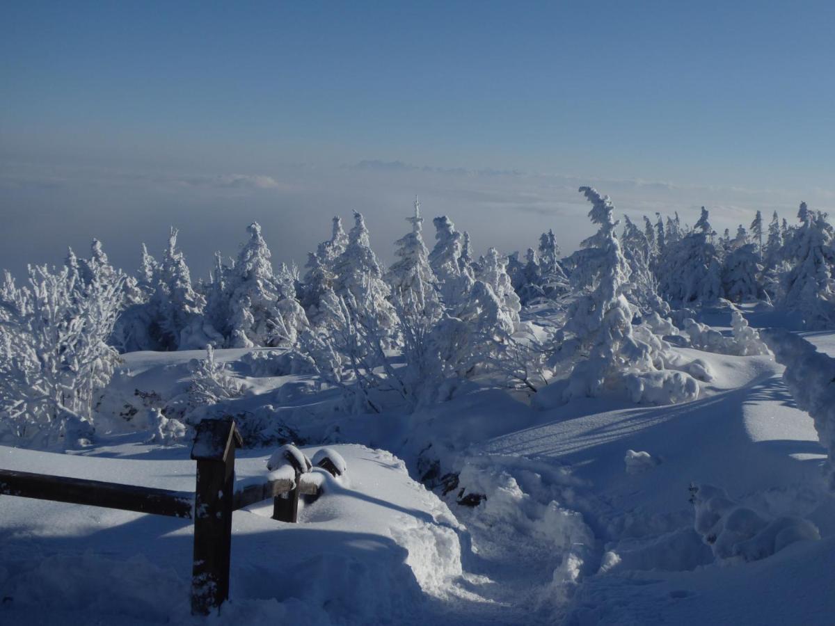 Pokoje Goscinne - Za Borem Zubrzyca Gorna Exterior foto