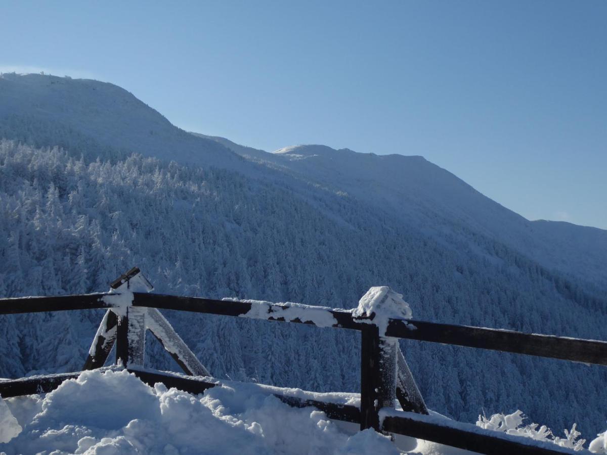 Pokoje Goscinne - Za Borem Zubrzyca Gorna Exterior foto