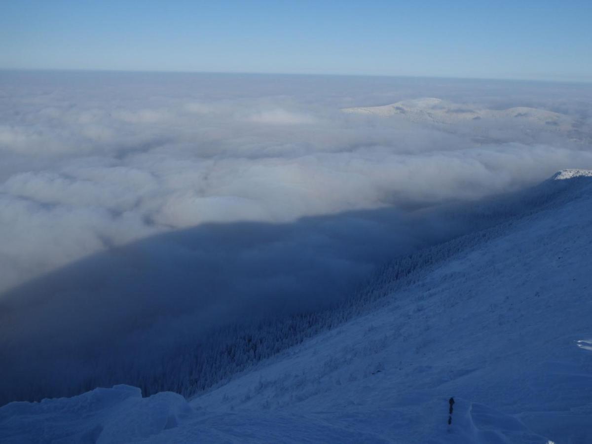 Pokoje Goscinne - Za Borem Zubrzyca Gorna Exterior foto