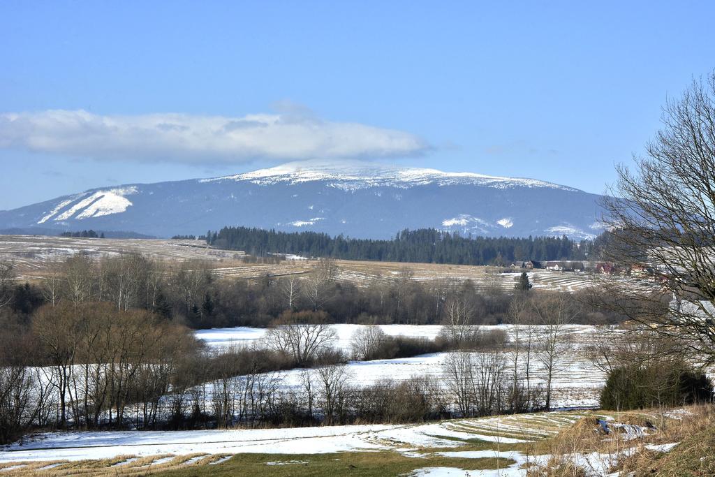 Pokoje Goscinne - Za Borem Zubrzyca Gorna Exterior foto