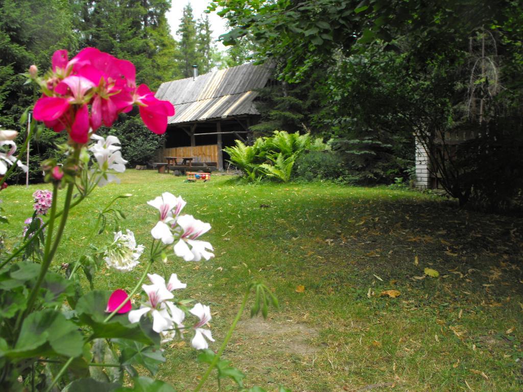 Pokoje Goscinne - Za Borem Zubrzyca Gorna Exterior foto